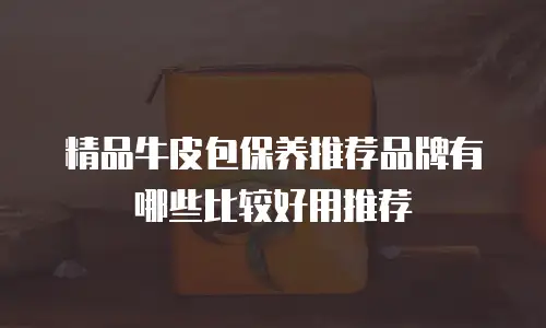 精品牛皮包保养推荐品牌有哪些比较好用推荐