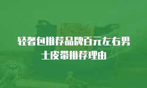 轻奢包推荐品牌百元左右男士皮带推荐理由
