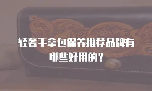 轻奢手拿包保养推荐品牌有哪些好用的？