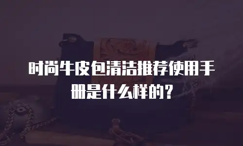 时尚牛皮包清洁推荐使用手册是什么样的？