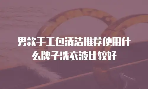 男款手工包清洁推荐使用什么牌子洗衣液比较好