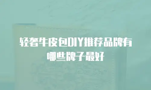 轻奢牛皮包DIY推荐品牌有哪些牌子最好