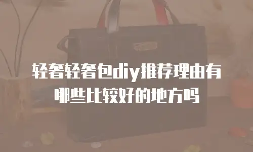 轻奢轻奢包diy推荐理由有哪些比较好的地方吗