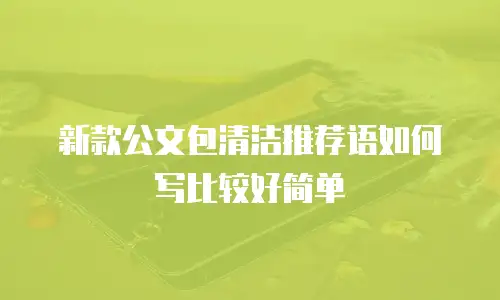 新款公文包清洁推荐语如何写比较好简单