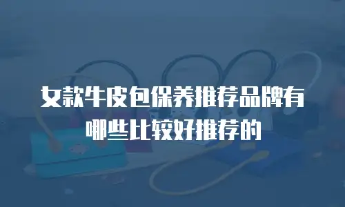 女款牛皮包保养推荐品牌有哪些比较好推荐的