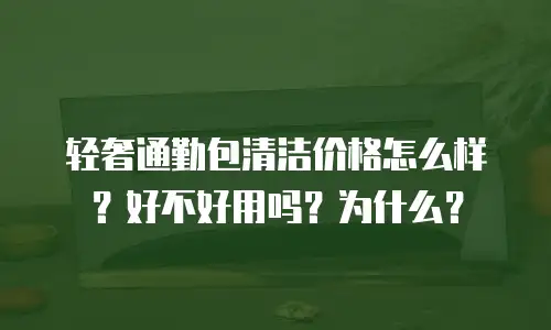 轻奢通勤包清洁价格怎么样？好不好用吗？为什么？