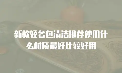 新款轻奢包清洁推荐使用什么材质最好比较好用