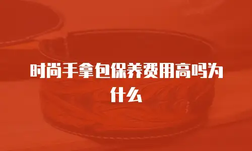 时尚手拿包保养费用高吗为什么