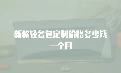 新款轻奢包定制价格多少钱一个月