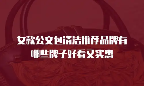 女款公文包清洁推荐品牌有哪些牌子好看又实惠