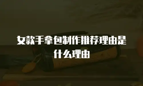 女款手拿包制作推荐理由是什么理由