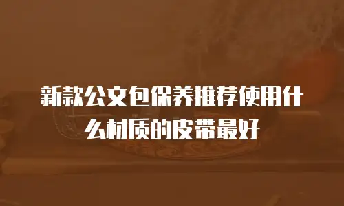 新款公文包保养推荐使用什么材质的皮带最好