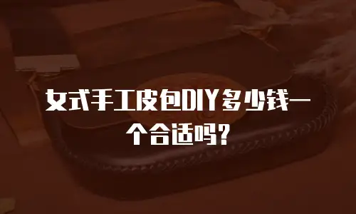 女式手工皮包DIY多少钱一个合适吗？