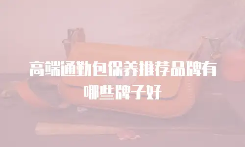 高端通勤包保养推荐品牌有哪些牌子好