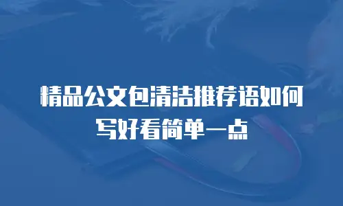精品公文包清洁推荐语如何写好看简单一点