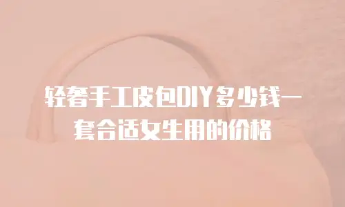 轻奢手工皮包DIY多少钱一套合适女生用的价格
