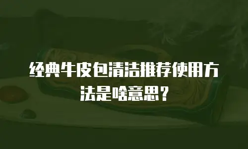 经典牛皮包清洁推荐使用方法是啥意思？
