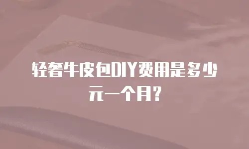 轻奢牛皮包DIY费用是多少元一个月？
