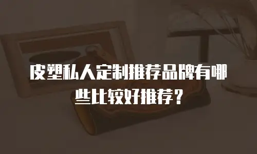 皮塑私人定制推荐品牌有哪些比较好推荐？