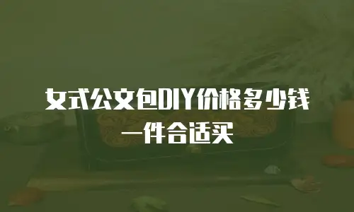 女式公文包DIY价格多少钱一件合适买