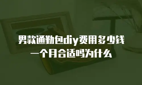 男款通勤包diy费用多少钱一个月合适吗为什么