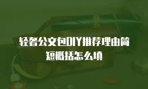 轻奢公文包DIY推荐理由简短概括怎么填