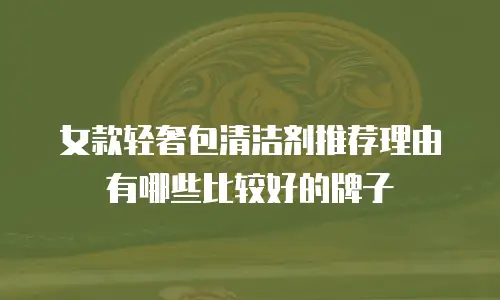 女款轻奢包清洁剂推荐理由有哪些比较好的牌子