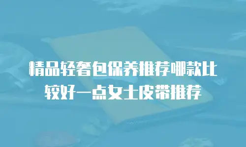 精品轻奢包保养推荐哪款比较好一点女士皮带推荐