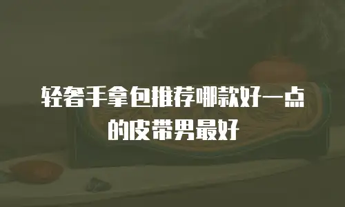 轻奢手拿包推荐哪款好一点的皮带男最好