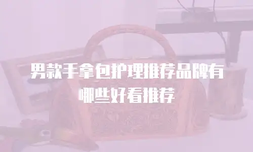 男款手拿包护理推荐品牌有哪些好看推荐