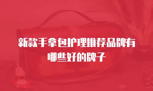 新款手拿包护理推荐品牌有哪些好的牌子