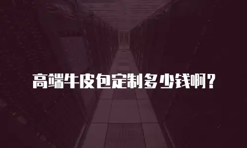 高端牛皮包定制多少钱啊？
