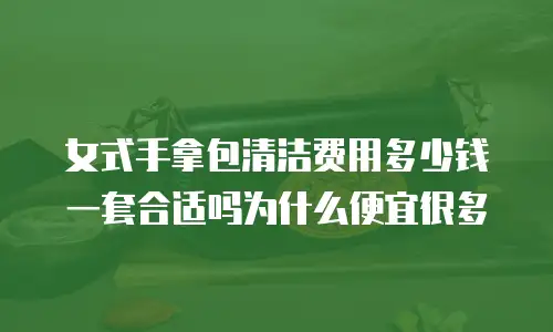 女式手拿包清洁费用多少钱一套合适吗为什么便宜很多