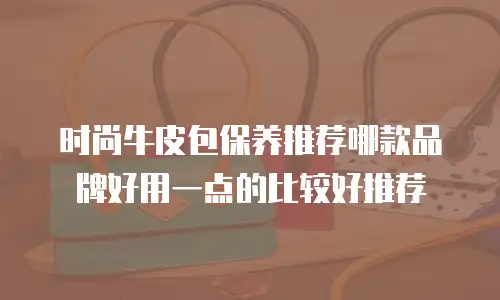 时尚牛皮包保养推荐哪款品牌好用一点的比较好推荐