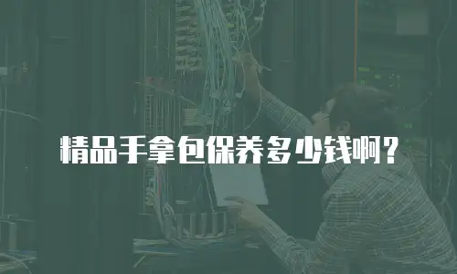 精品手拿包保养多少钱啊？