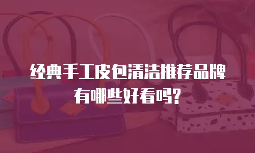 经典手工皮包清洁推荐品牌有哪些好看吗?
