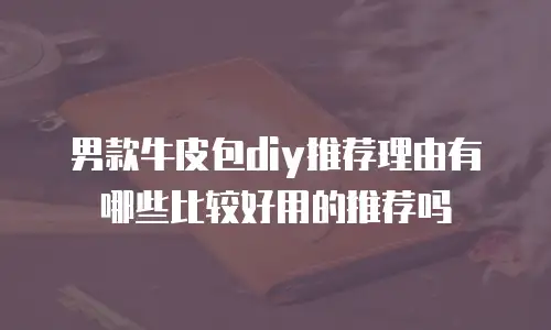 男款牛皮包diy推荐理由有哪些比较好用的推荐吗