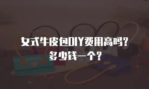 女式牛皮包DIY费用高吗？多少钱一个？