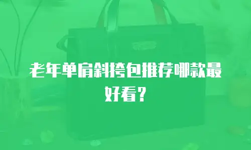 老年单肩斜挎包推荐哪款最好看？