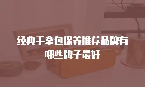 经典手拿包保养推荐品牌有哪些牌子最好