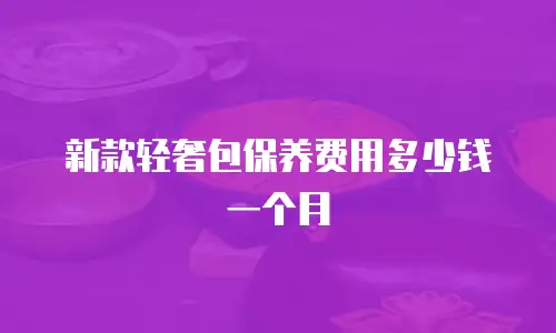 新款轻奢包保养费用多少钱一个月