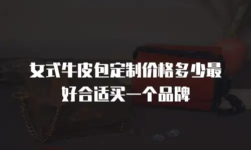 女式牛皮包定制价格多少最好合适买一个品牌