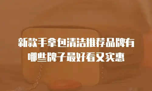 新款手拿包清洁推荐品牌有哪些牌子最好看又实惠