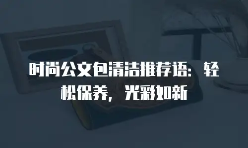 时尚公文包清洁推荐语：轻松保养，光彩如新