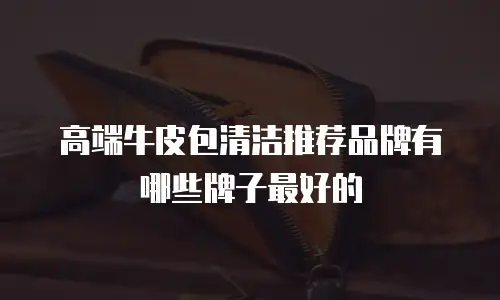 高端牛皮包清洁推荐品牌有哪些牌子最好的