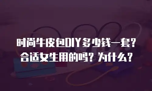 时尚牛皮包DIY多少钱一套？合适女生用的吗？为什么？