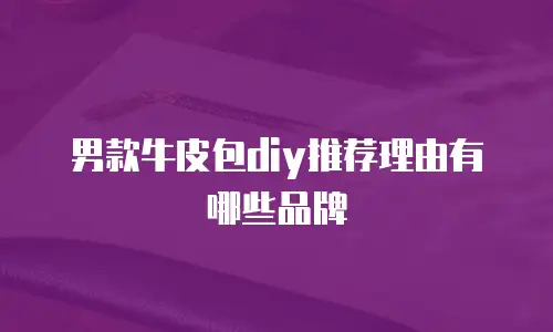 男款牛皮包diy推荐理由有哪些品牌