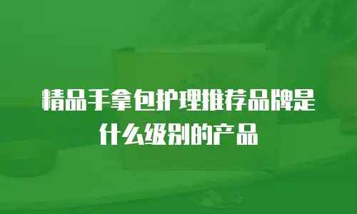 精品手拿包护理推荐品牌是什么级别的产品