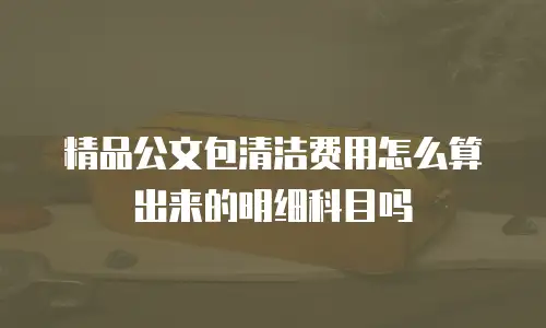 精品公文包清洁费用怎么算出来的明细科目吗
