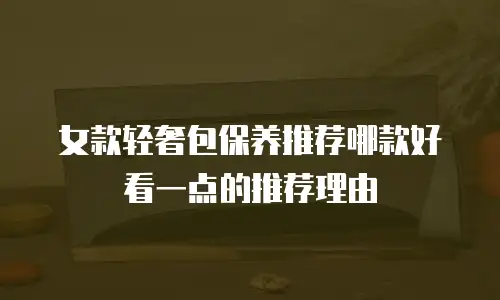 女款轻奢包保养推荐哪款好看一点的推荐理由